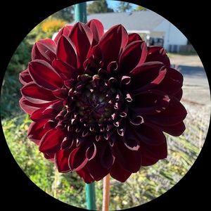 Meet your Posher, Miranda